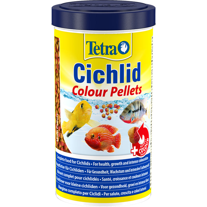 Tetra Cichlid Colour