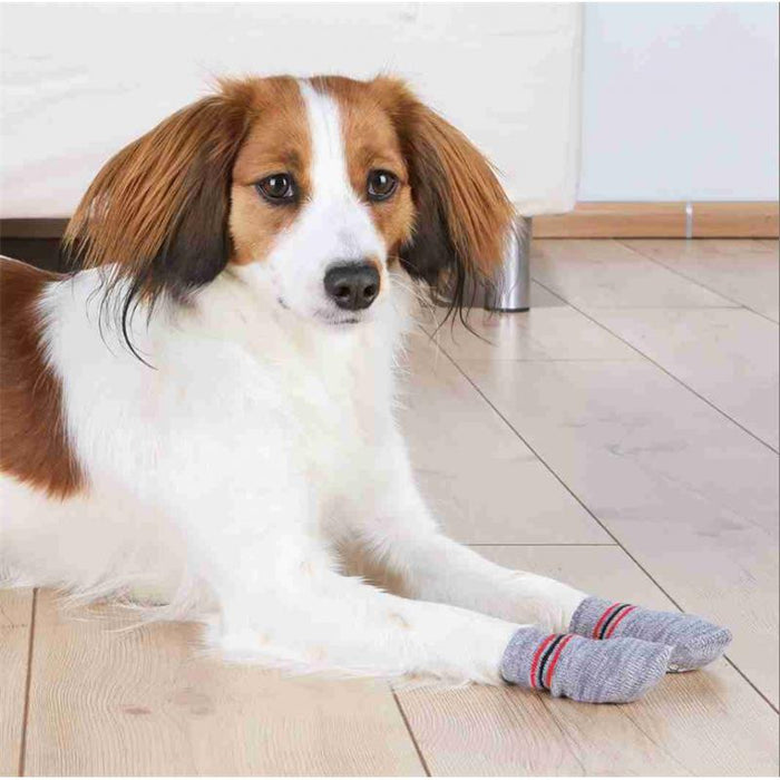 Trixie Anti-Rutsch-Hundesocken grau 2 Stück