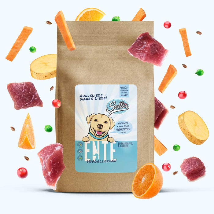 Trockenfutter Ente | Adult-Regular