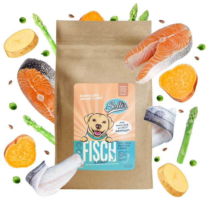 Trockenfutter Fisch | Adult-Regular