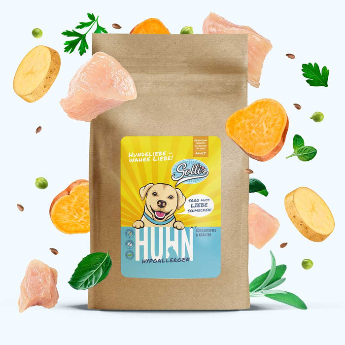 Trockenfutter Huhn | Adult-Regular
