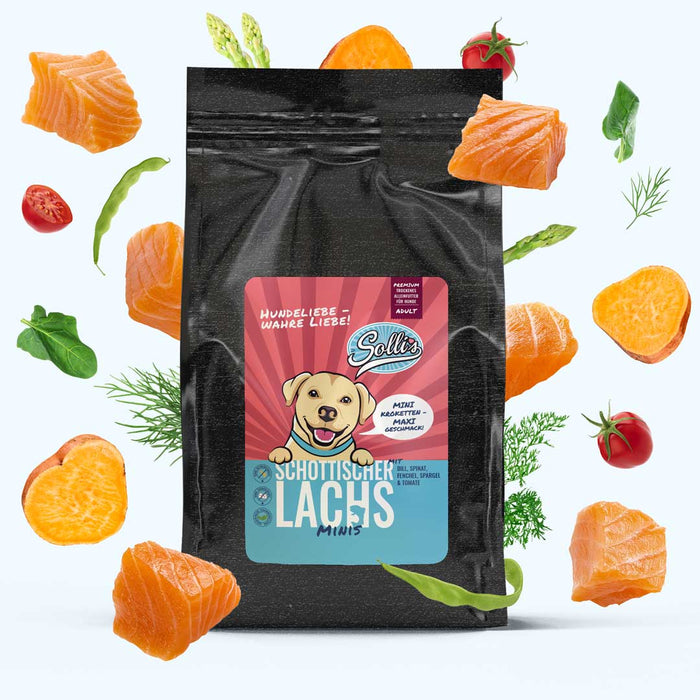 Trockenfutter Schottischer Lachs-Minis | kleine Rassen