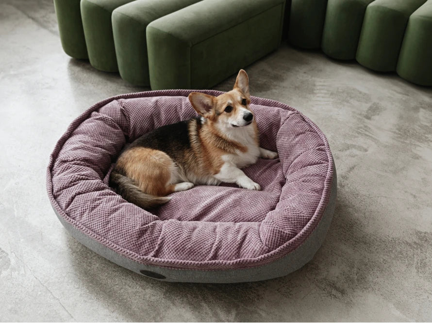 DONUT Hundebett aus langlebigem Soft-Touch-Möbelstoff