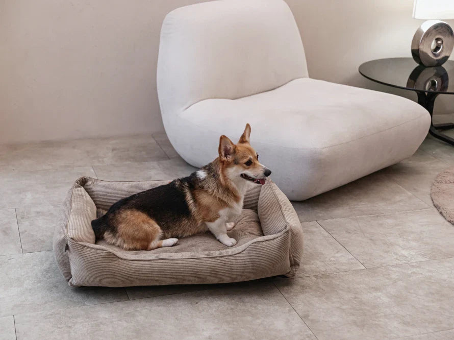 DREAMER orthopädisches Hundebett aus Möbelcord mit Handwerklich/ Höchste Funktionalität