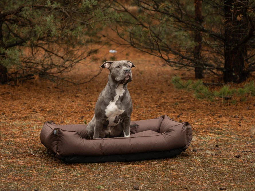 DREAMER wasserabweisendes Hundebett mit Handwerklich
