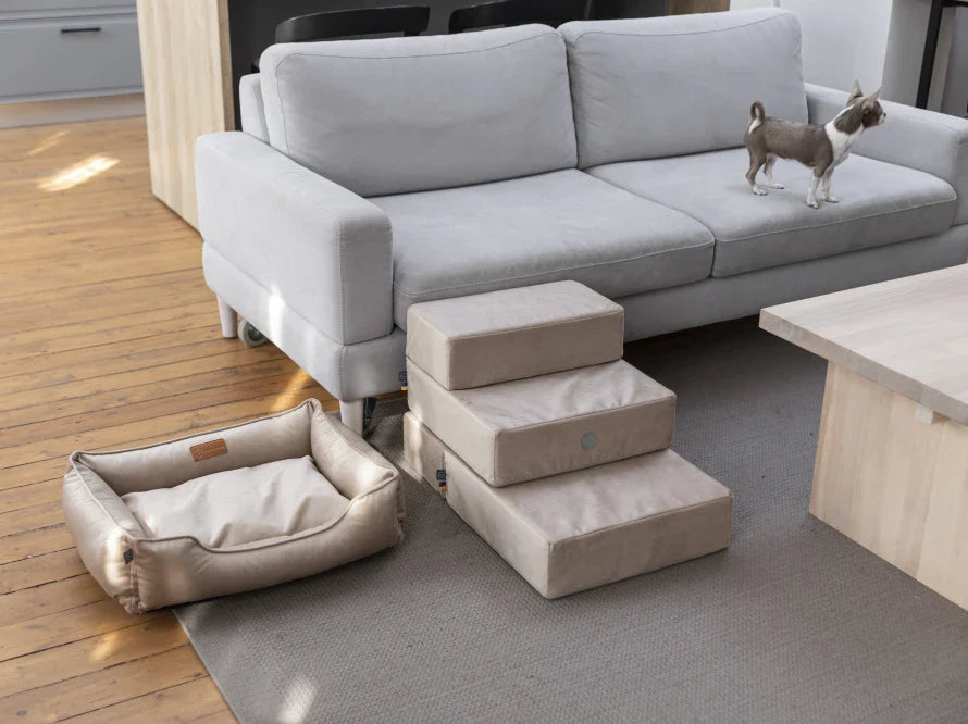 DREAMER orthopädisches Hundebett aus Möbelvelours / gegen Graben und Buddeln resistent