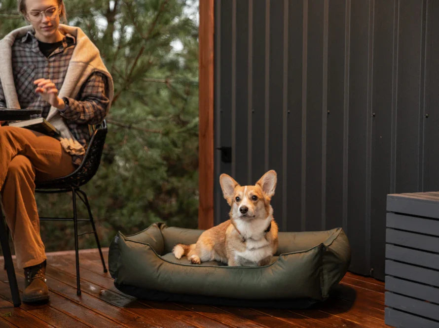 DREAMER wasserabweisendes Hundebett mit Handwerklich