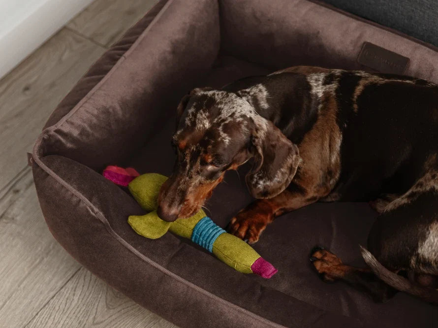 DREAMER orthopädisches Hundebett aus Möbelvelours / gegen Graben und Buddeln resistent