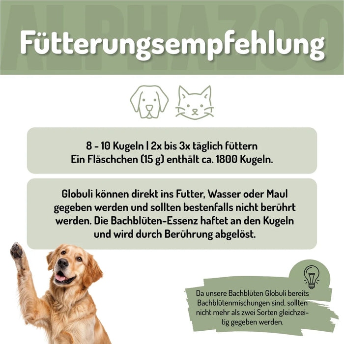 Seelenruhe Bachblüten