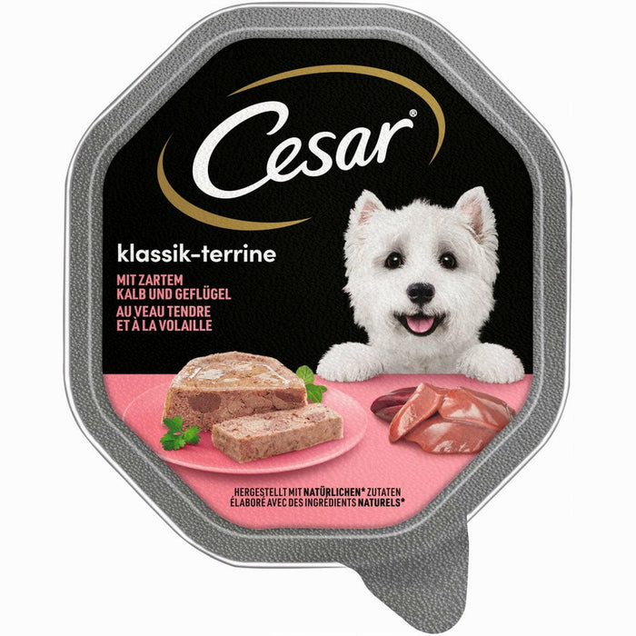 Cesar 14x150g