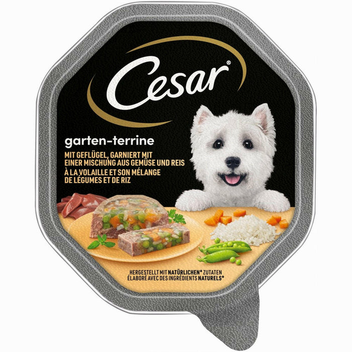 Cesar 14x150g