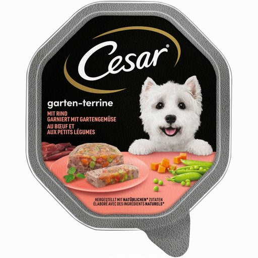 Cesar 14x150g