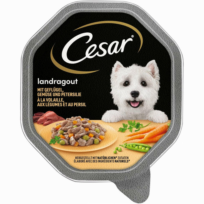 Cesar 14x150g