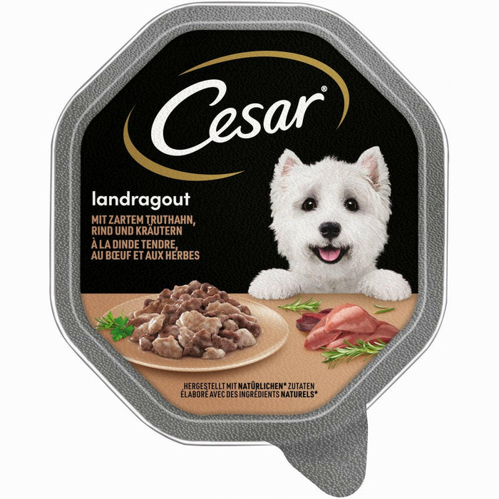 Cesar 14x150g